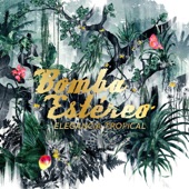 Bomba Estereo - Pure Love