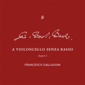 Aria Scotese Con Variazzione: Ⅸ. Var 8 (World Premier Recording) [with Roberto Loreggian] artwork