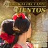 Antología del Cante Tientos, Vol.6