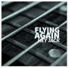 Flying Again - Single