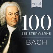 Johann Sebastian Bach - Konzert für Violine, Streicher und Basso continuo E-Dur BWV 1042 I. Allegro