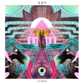 Soy artwork