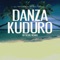 Danza Kuduro (Remix) artwork