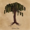 Willow Tree - Single