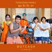 ชุดโกโกวา (Botcash Remix) artwork