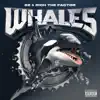 Whales album lyrics, reviews, download