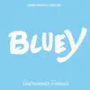 Bluey - Instruments Parade - EP album lyrics, reviews, download