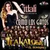 Como los Gatos (feat. Edwin Luna y La Trakalosa de Monterrey) - Single album lyrics, reviews, download