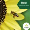 Bonabourg Woodland- 2020 Nature Music Collection album lyrics, reviews, download