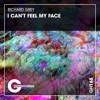 I Can't Feel My Face - Single