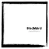 Blackbird - Single album lyrics, reviews, download