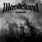Wasteland artwork