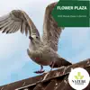 Flower Plaza - 2020 Nature Music Collection album lyrics, reviews, download