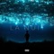 La nuit artwork