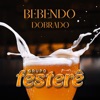 Bebendo Dobrado - Single