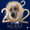 Physalis - Feliz Ano Novo 2022