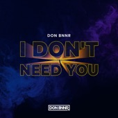 I Don't Need You artwork