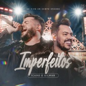 Imperfeitos (Ao Vivo) artwork