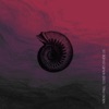 Cold Waves Divide Us - Single