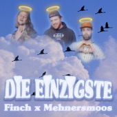 DiE EiNZiGSTE artwork