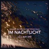 Im Nachtlicht (Original Motion Picture Soundtrack) artwork