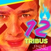 12 Tribus, Vol. 1