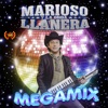 Megamix: Anoche Me Acosté Curado / De Vacaciones / Será Que Fue Extrañarme - Single