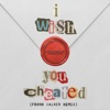 i wish you cheated (Frank Walker Remix) - Single