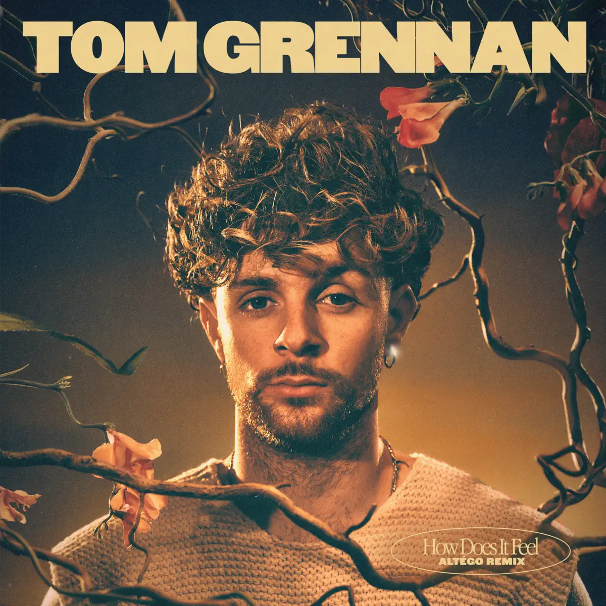 Tom Grennan - How Does It Feel (ALTÉGO Remix) - Single (2023) [iTunes Plus AAC M4A]-新房子