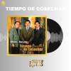 Los Hermanos Reyes de Guatemala - Escalando peldaños