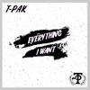 Everything I Want - Single