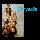 Chrysalis - 30 Poplar