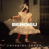 Cevaplar Sende - Single