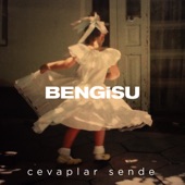 Cevaplar Sende artwork