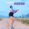 Santri Pekok (DJ Remix) - Single