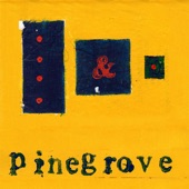 Problems by Pinegrove