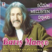 Bahçede Hanımeli artwork