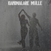 Kanimalare Mulle artwork