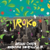 Iroko artwork