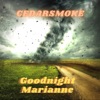 Goodnight Marianne - Single