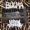 Larval Therapy X Bulma Split - Single