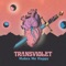 Everything Everything - Transviolet lyrics