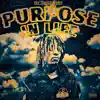 Purpose In Life - Single album lyrics, reviews, download
