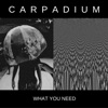 Carpadium - AA a aaaAAA aa aaaA a Aa A