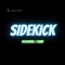 Sidekick (feat. J Dubb) - El Rhythm lyrics