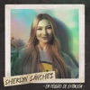 En Peligro De Extinción - Single