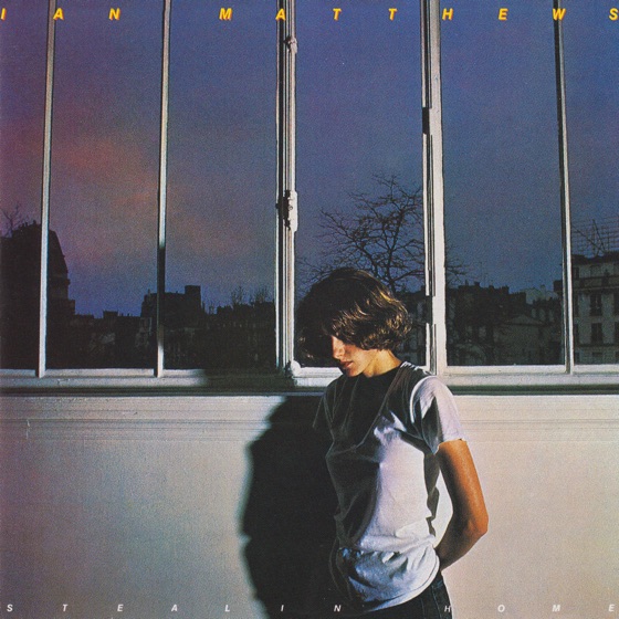 Cover artwork for Shake It
