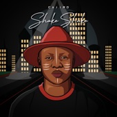 Shake Shake artwork