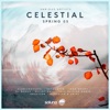 Celestial Spring 05, 2023