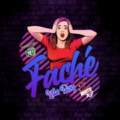Litleboy Faché (Radio Edit) artwork